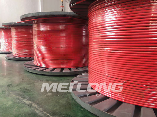 10000Psi इनकैप्सुलेटेड कंट्रोल लाइन डुप्लेक्स 2507 FEP